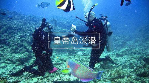 填满红色选关版