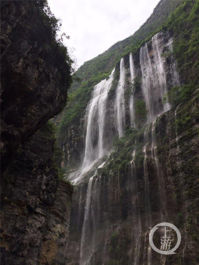 星露谷物语